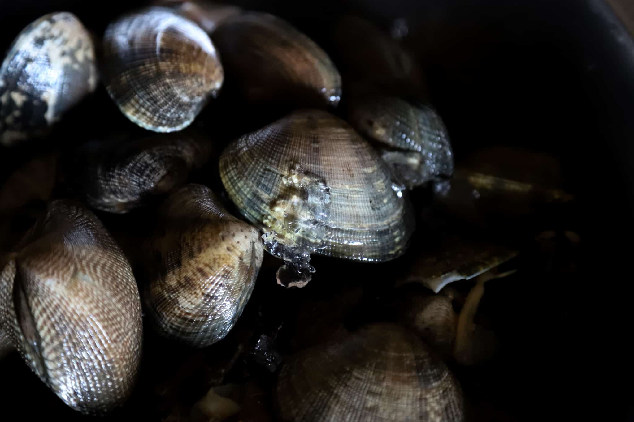Manila Clams Lafitte Seafood